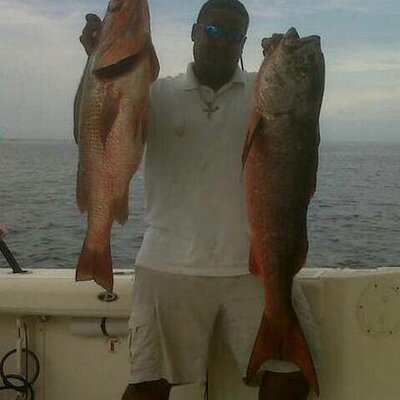 Profile Picture of Roger Barrett (@rogerbarrett11) on Twitter