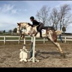 Profile Picture of Alana Makowski (@alana_equine_) on Instagram