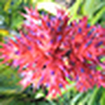 Profile Picture of Jordana Noel (@jordan noel's travel and leisure...) on Flickr