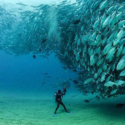 Profile Picture of Andy Wand (@AndyDerandy) on Twitter