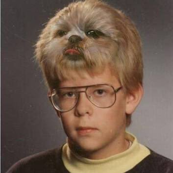 Profile Picture of Darius Robert Syred (@RobertSyred) on Twitter