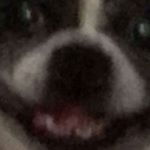 Profile Picture of Dylan Burris (@dylan.burris.311) on Instagram