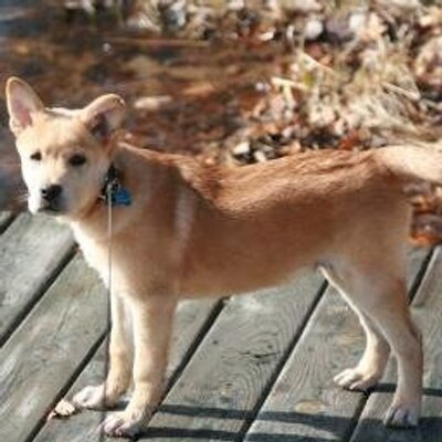 Profile Picture of Ian Givens (@IanFromKdy) on Twitter