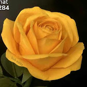 Profile Picture of SHAEN ANTO (@shanthi9941) on Youtube