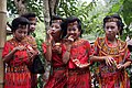 Profile Picture of Torajan peopleon Wikipedia