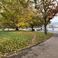 Profile Picture of Jonathan Dreyfus (@jonathan-dreyfus-6) on Quora