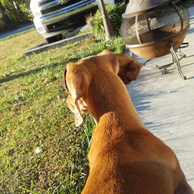 Profile Picture of Jacob Borland (@JacobBorland3) on Twitter