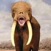 Profile Picture of spillidioticbutter (@aaronbrimmer) on Tiktok