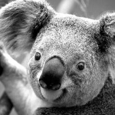 Profile Picture of Clark Robertson (@ClarkRobertson2) on Twitter