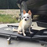 Profile Picture of Steven Wangler (@wangler.steven) on Instagram