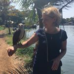 Profile Picture of Paula Hinchliffe (@paulahinchliffe) on Instagram