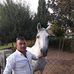 Profile Picture of Luis Rego (@luis.rego.129357) on Facebook