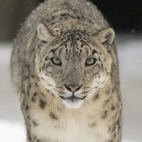 Profile Picture of Evan Hull (@evan-hull-2) on Quora