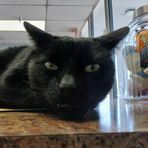 Profile Picture of Danielle Lapinski (@danielle.lapinski) on Facebook