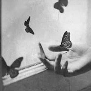 Profile Picture of Heather Deal (@ryan.mccrea) on Myspace