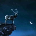 Profile Picture of Bobby Chandler (@Bobby-Chandler) on Facebook