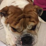 Profile Picture of Manolo Sanchez Rodriguez (@manu_s_r) on Instagram