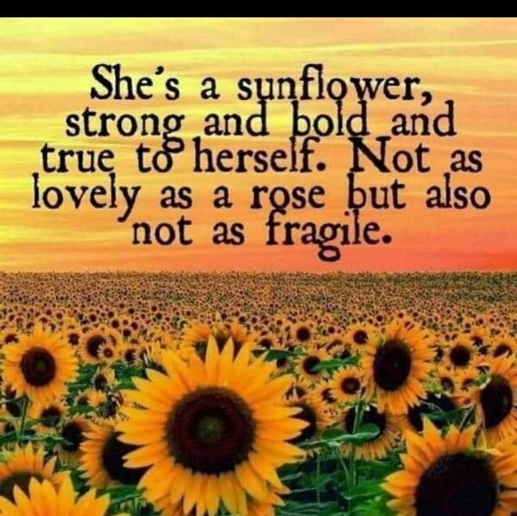 Profile Picture of Katelyn Potter (@kate18411) on Poshmark