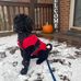 Profile Picture of Baylee Estep (baylee estep) (@baylee.estep.3) on Facebook