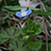 Profile Picture of Ivy_%u4E66%u5C18%u843D (@Ivy_%u4E66%u5C18%u843D) on Flickr