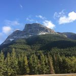 Profile Picture of Kim Havill Armitage (@kimarmitage1968) on Instagram