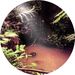 Profile Picture of Alison Barnes (@alibarnessf) on Pinterest