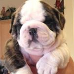 Profile Picture of Jeff Conant (@conant.jeff) on Instagram