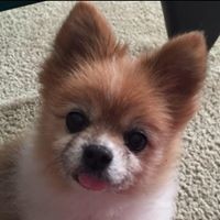 Profile Picture of Rita Marks-hunt (@rita-marks-hunt) on Quora