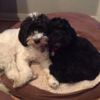 Profile Picture of Alexandra Burrell (@alexandra-burrell) on Quora