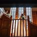 Profile Picture of Laura Jean Harkin (@Jeanieharkin) on Pinterest