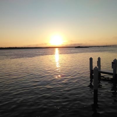 Profile Picture of David Green (@DaveGren223) on Twitter