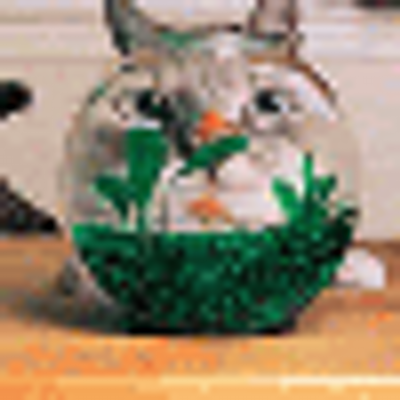 Profile Picture of Neal Mooney (@girl1sy) on Twitter