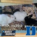 Profile Picture of Keith Thorn (@thornkeith) on Instagram