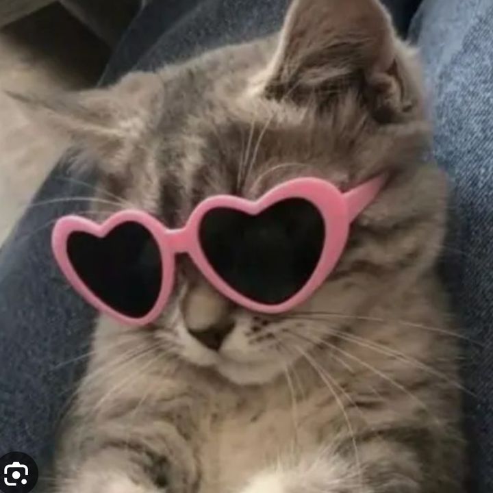 Profile Picture of milaytrades__ (@milaytrades__) on Tiktok