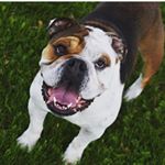 Profile Picture of Stewie Brian Baustian (@stewie_brian_) on Instagram