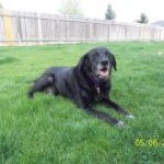 Profile Picture of Trudy Charles (@tcbroncofan) on Instagram