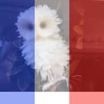Profile Picture of Josette Paul (@josette.paul.739) on Facebook