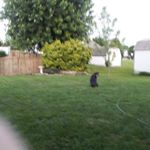 Profile Picture of Dave Pfeiffer (@pfeifferdave) on Instagram