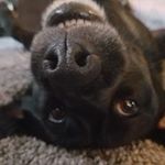 Profile Picture of Daniel (@daniel.masker) on Instagram