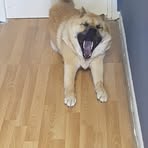 Profile Picture of Alec Brookes (@alec.brookes.752) on Facebook