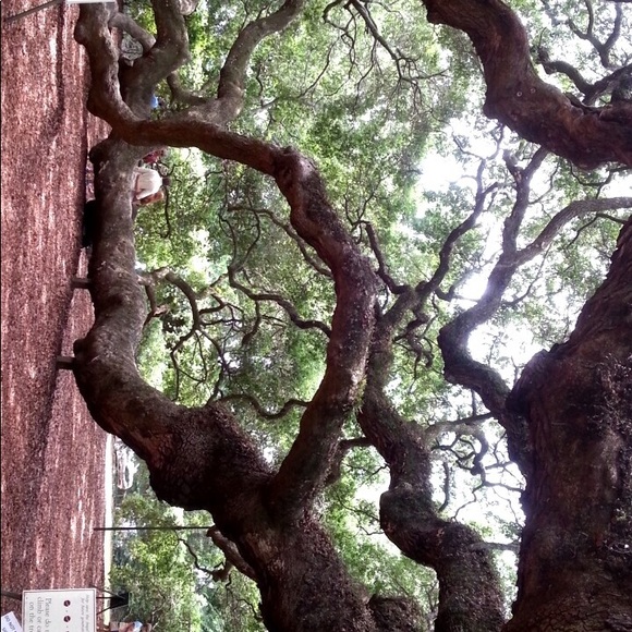 Profile Picture of Sarah Manzuk (@smanzuk3) on Poshmark