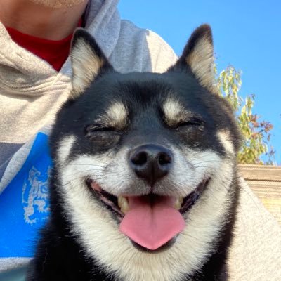 Profile Picture of Ben Zellmer (@benzelllmer) on Twitter