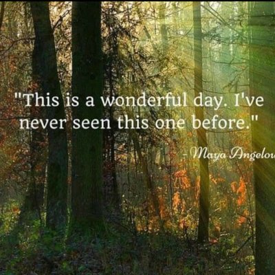 Profile Picture of Lisa S Showe (@LisaShay64) on Twitter