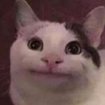 Profile Picture of Dylan Lammerse (@dylanlammerse) on Instagram