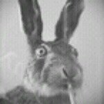 Profile Picture of Derek FoXxX (@drbilljacobs) on Instagram