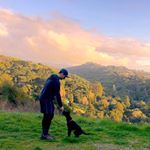 David Younan-Montgomery - Instagram Profile Picture of David Younan-Montgomery (@dabidm) on Instagram