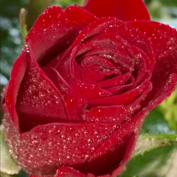 Profile Picture of Genya Kolisnyk (@genya_kolisnyk) on Poshmark