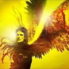 Profile Picture of Chau Falcón,  Gracias Simón (@FalconPalomo) on Twitter