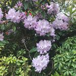 Lara May - Instagram Profile Picture of Lara May (@lara._.may) on Instagram