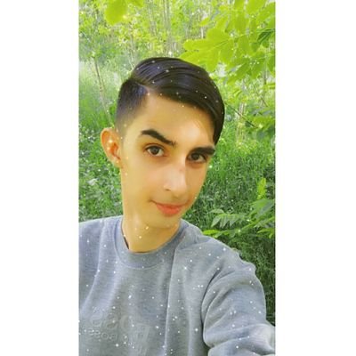 Profile Picture of Amir Mortazavi (@amirmor82426321) on Twitter